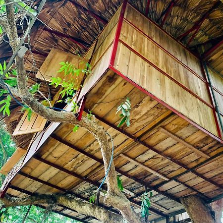 Muong Retreat- Nghi Duong Xanh Trong Bao Tang Van Hoa Nghe Thuat,Hoa Binh Hotell Exteriör bild