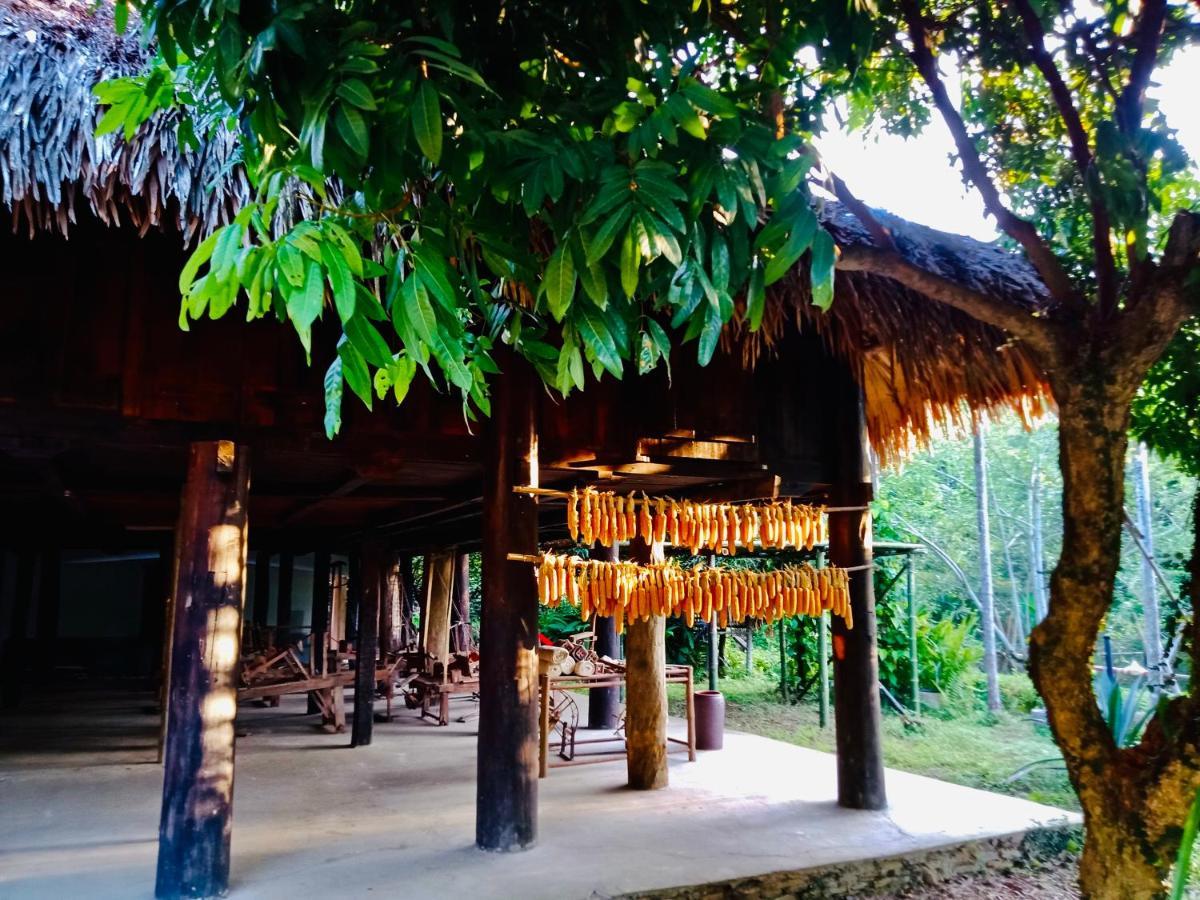 Muong Retreat- Nghi Duong Xanh Trong Bao Tang Van Hoa Nghe Thuat,Hoa Binh Hotell Exteriör bild